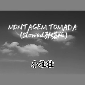 MONTAGEM TOMADA (Slowed劲爆版)