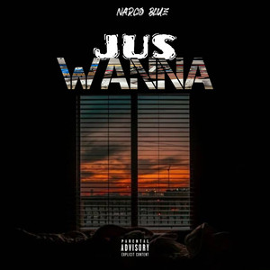 Jus Wanna (Explicit)