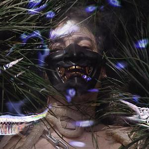 Polozhenie (Explicit)