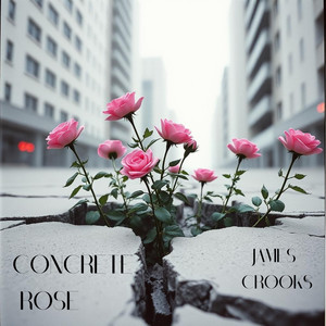 Concrete Rose