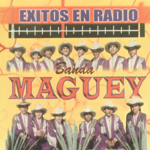 Exitos En Radio