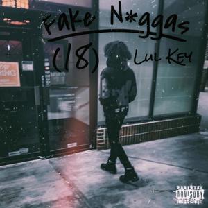 Fake Niggas (18) (Explicit)