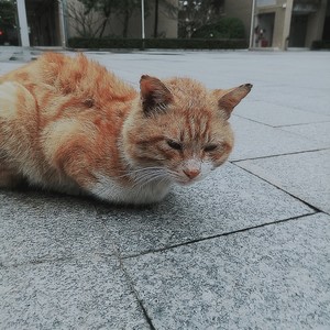 你眼中