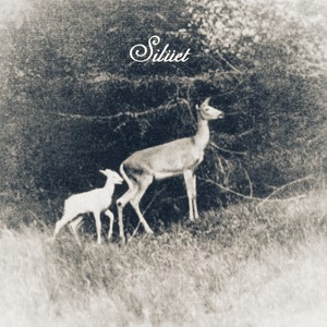 Tüm Güzel Harabeler