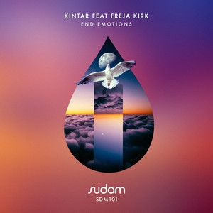End Emotions (Original Mix)
