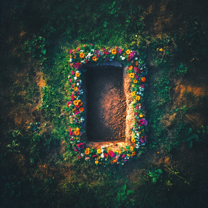 My Empty Grave (Live)