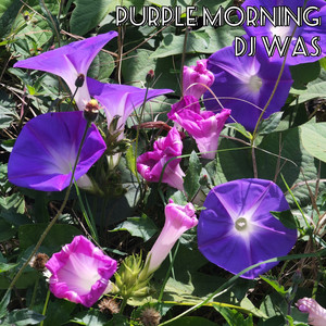 Purple Morning