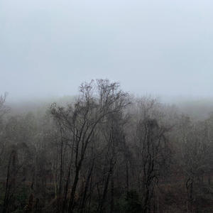 Buried (feat. Schweppe & Havan)