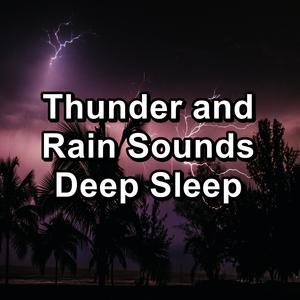 Thunder and Rain Sounds Deep Sleep