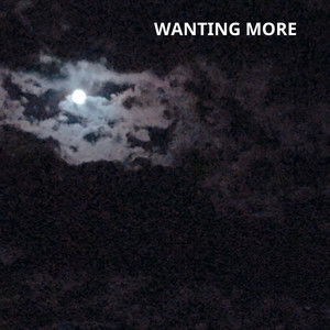 WANTING MORE