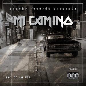 Mi Camino(feat. Los De La Via)