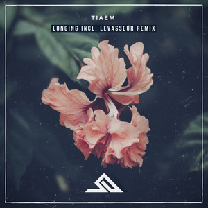 Longing (Levasseur Remix)