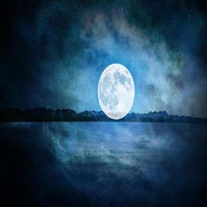 Moonlight(feat. SadBxyLee)