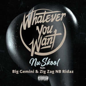 Whatever You Want (Explicit)
