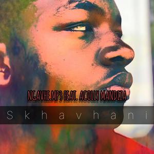 Ngavhe (feat. Acolly Mandiza) [Explicit]