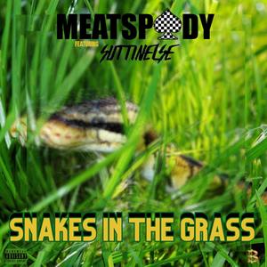 Snakes In The Grass (feat. Suttin Else) [Explicit]