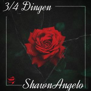 3/4 Dingen (Radio Edit) [Explicit]