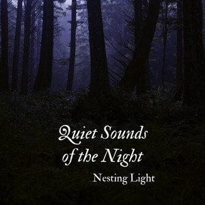 Quiet Sounds of the Night