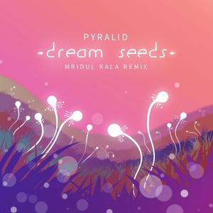 Pyralid - Dream Seeds (Mridul Kala Remix)