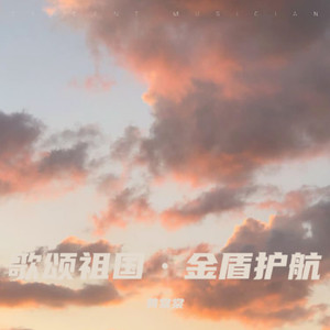 歌颂祖国·金盾护航