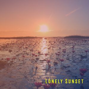Lonely Sunset