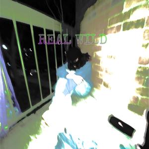 Real Wild (feat. 4D3N) (Explicit)