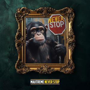 Never Stop