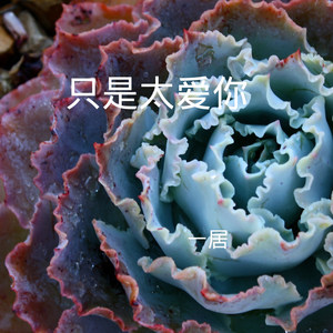 转身就是一辈子
