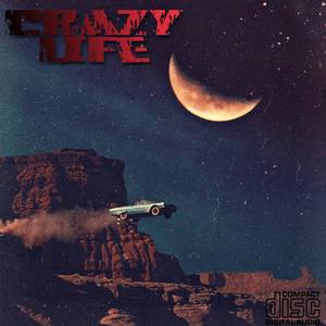 Crazy Life