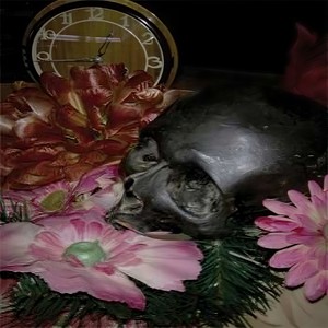 I Patrzymy w gwiazdy