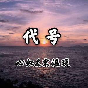 代号002
