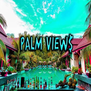 Palm View$ (Explicit)