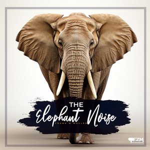 The Elephant Noise