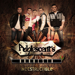 Indestructible