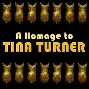 A Homage To: Tina Turner