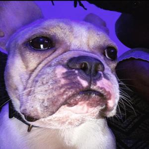 FEEL ALRIGHT (feat. Khaypantal) (Explicit)