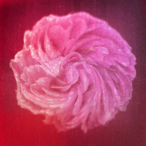 Ich tanze mit dir in den Himmel hinein (U:kustik Remix)