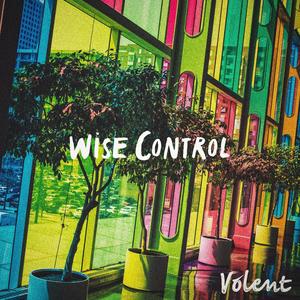 Wise Control