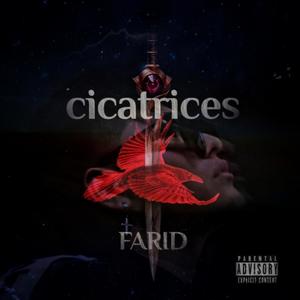 Cicatrices (Explicit)
