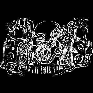 SPING GROOVE
