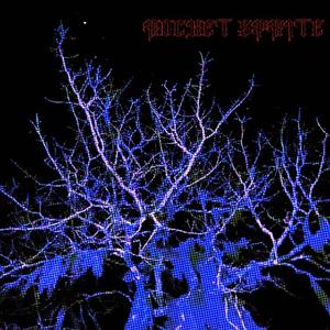 Rocket Sprite (feat. Gspaz) (Explicit)