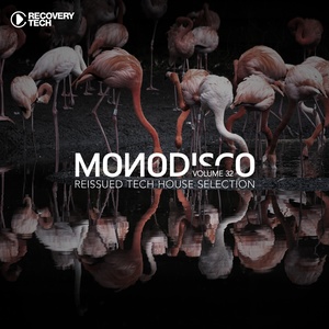 Monodisco, Vol. 32