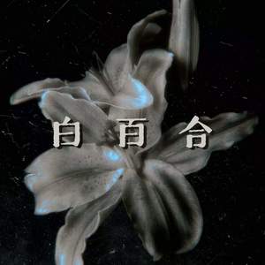 白百合（你说过爱瞬息万变）