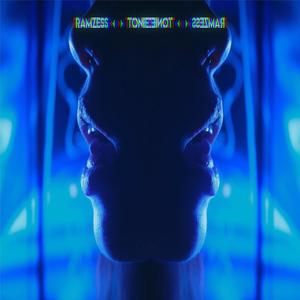 Toxic(feat. toniezlytomek)