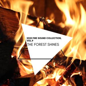 The Forest Shines - 2020 Fire Sound Collection, Vol.9