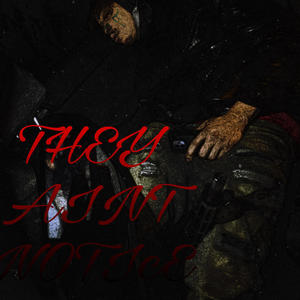 THEY AINT NOTICE (Explicit)