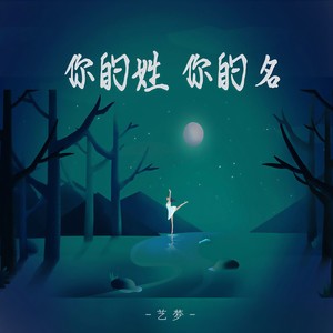 你的姓你的名