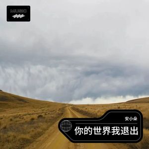 你的世界我退出