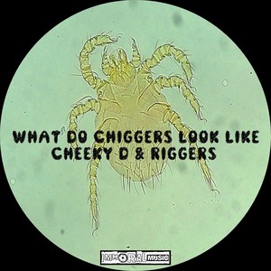 What Do Chiggers Look Like (Original Mix)