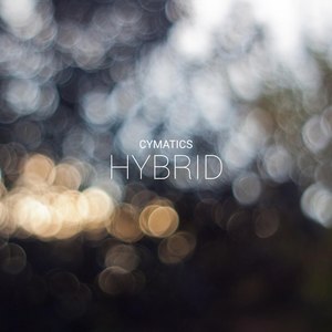 Hybrid